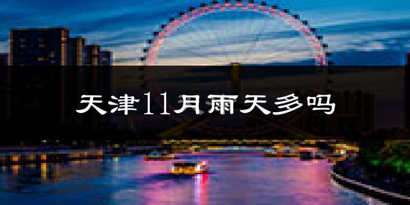 天津11月雨天多吗?