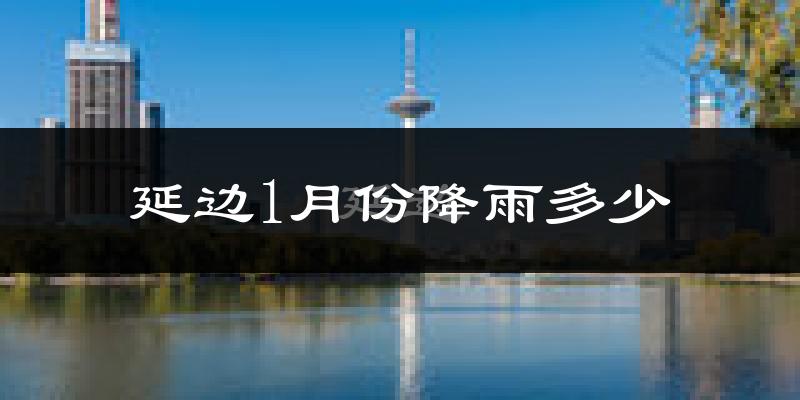 延边1月份降雨多少?