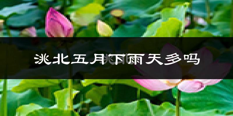 洮北五月下雨天多吗?洮北5月份降雨量多少?