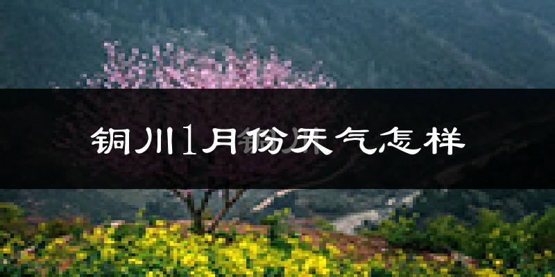 铜川市1月份天气如何?很冷吗?