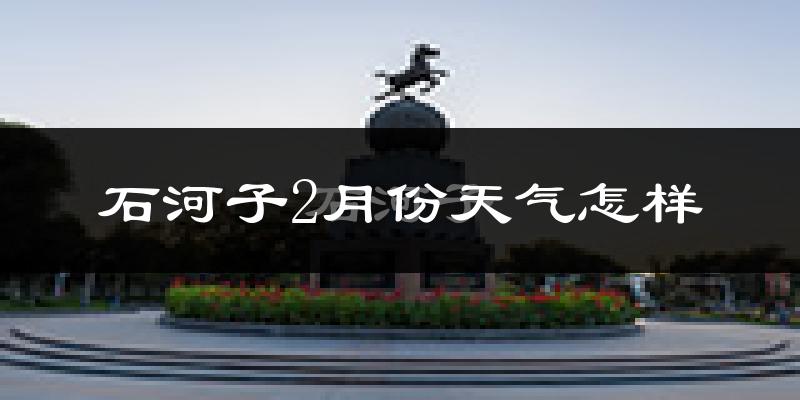 石河子市2月份天气如何?很冷吗?
