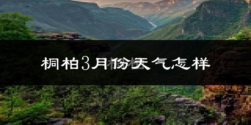 桐柏县3月份天气如何?冷热情况怎么样?