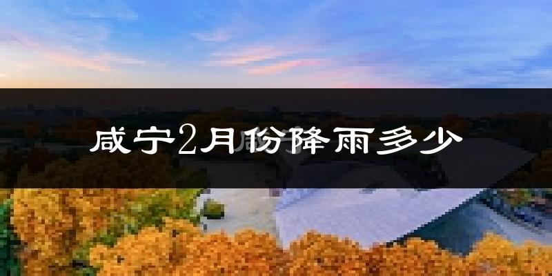 咸宁2月份降雨多少?