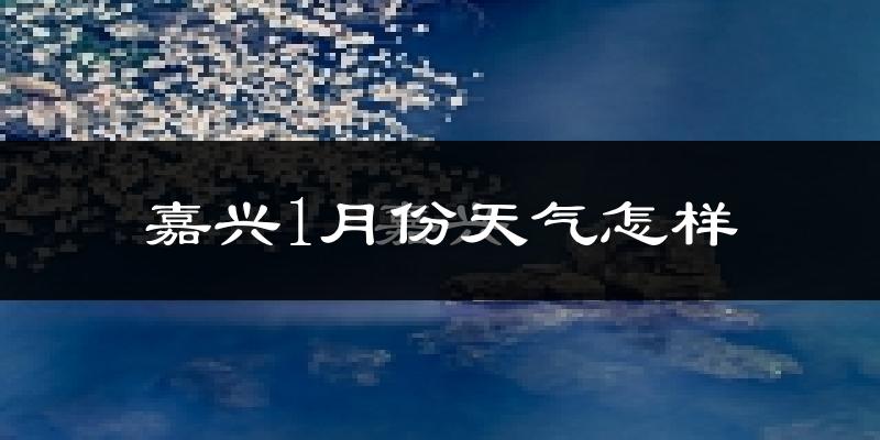 嘉兴市1月份天气如何?很冷吗?