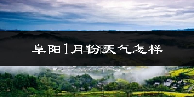 阜阳市1月份天气如何?很冷吗?