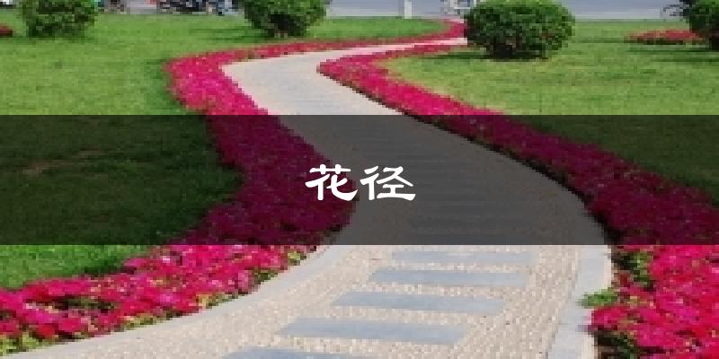 花径天气预报十五天