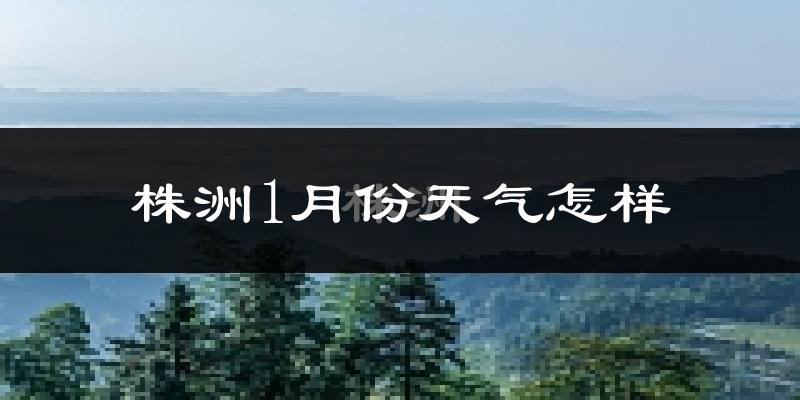 株洲市1月份天气如何?冷吗?过去两年天气数据分析