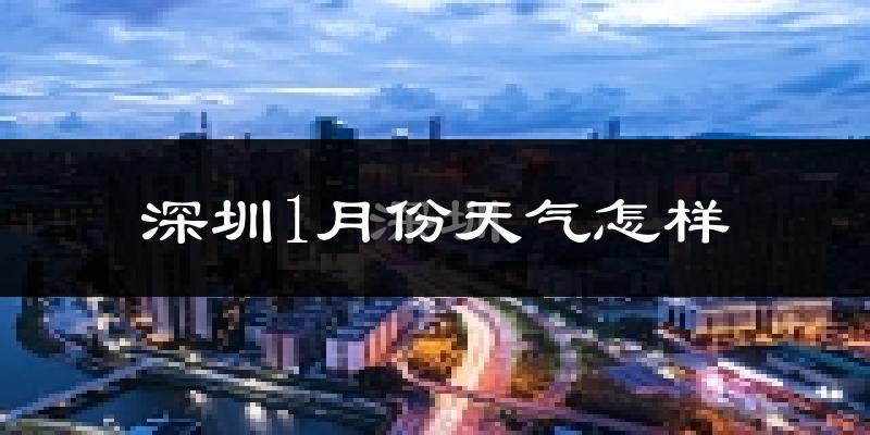 深圳1月份天气如何?冷吗?过去两年1月天气数据分析
