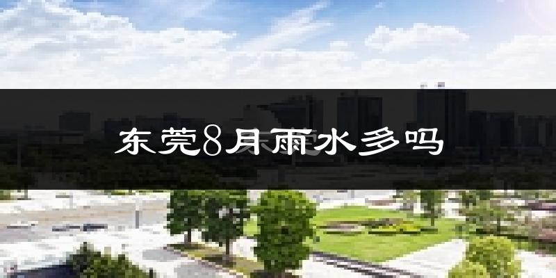 东莞8月雨水多吗?