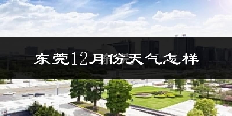东莞12月份天气怎样?东莞十二月冷吗?