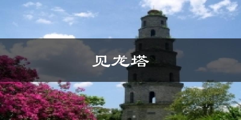 见龙塔天气预报十五天